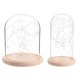Clear Glass Display Dome Cloche Bell Jar Wooden Base DIY Decorations With 20 LED Fairy String Light Clear Glass Display Dome Cloche Bell Jar Wooden Base DIY Decorations With 20 LED Fairy String Light