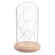 Clear Glass Display Dome Cloche Bell Jar Wooden Base DIY Decorations With 20 LED Fairy String Light Clear Glass Display Dome Cloche Bell Jar Wooden Base DIY Decorations With 20 LED Fairy String Light