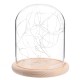 Clear Glass Display Dome Cloche Bell Jar Wooden Base DIY Decorations With 20 LED Fairy String Light Clear Glass Display Dome Cloche Bell Jar Wooden Base DIY Decorations With 20 LED Fairy String Light