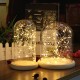 Clear Glass Display Dome Cloche Bell Jar Wooden Base DIY Decorations With 20 LED Fairy String Light Clear Glass Display Dome Cloche Bell Jar Wooden Base DIY Decorations With 20 LED Fairy String Light