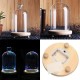 Clear Glass Display Flower Dome Bell Jar Cloche Wooden Base With LED Light Room Decorations