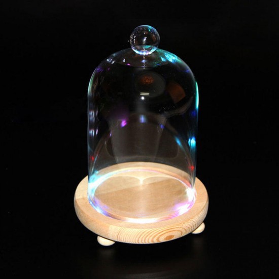 Clear Glass Display Stand Flower Dome Bell Jar Cloche Wooden Base LED Light Room Decorations