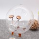 Clear Glass Piggy Bank Coin Money Cash Collectible Saving Box Jar Gift Pig