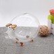 Clear Glass Piggy Bank Coin Money Cash Collectible Saving Box Jar Gift Pig Clear Glass Piggy Bank Coin Money Cash Collectible Saving Box Jar Gift Pig