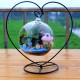 Creative Flower Pot Glass Ball Vase Terrarium Home Room Decor Gift Creative Flower Pot Glass Ball Vase Terrarium Home Room Decor Gift