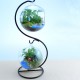 Creative Flower Pot Glass Ball Vase Terrarium Home Room Decor Gift Creative Flower Pot Glass Ball Vase Terrarium Home Room Decor Gift