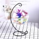 Creative Hanging Holder Crystal Terrarium Container Vase With Glass Ball Vase Pot Iron Stand Holder Decorations Creative Hanging Holder Crystal Terrarium Container Vase With Glass Ball Vase Pot Iron Stand Holder Decorations