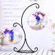 Creative Hanging Holder Crystal Terrarium Container Vase With Glass Ball Vase Pot Iron Stand Holder Decorations