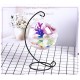 Creative Hanging Holder Crystal Terrarium Container Vase With Glass Ball Vase Pot Iron Stand Holder Decorations