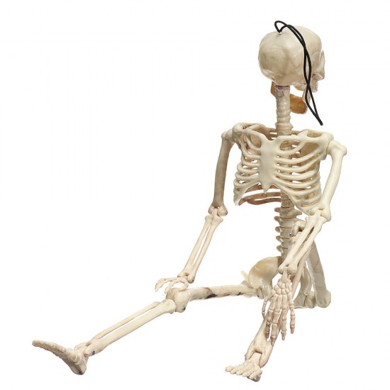 Creepy Human Skeleton Skull Figurine Scary Halloween Skeleton Prop Party Decorations