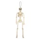 Creepy Human Skeleton Skull Figurine Scary Halloween Skeleton Prop Party Decorations