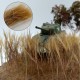 DIY Artificial Mini Wheat Plants Wheat Clusters Ciniature Model Scale Decorations