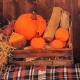 Fall Thanksgiving Backdrop Photography Video Background Pumpkins Studio Prop