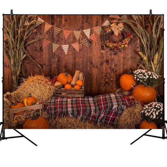 Fall Thanksgiving Backdrop Photography Video Background Pumpkins Studio Prop