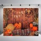 Fall Thanksgiving Backdrop Photography Video Background Pumpkins Studio Prop