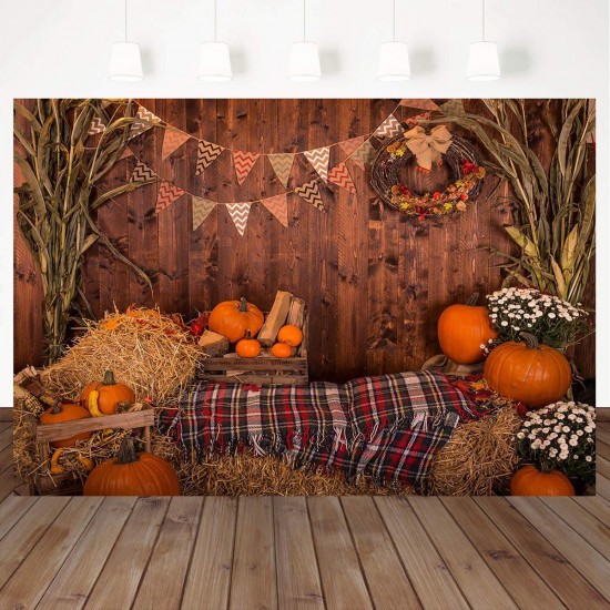 Fall Thanksgiving Backdrop Photography Video Background Pumpkins Studio Prop
