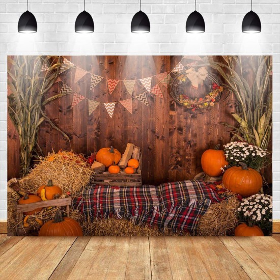 Fall Thanksgiving Backdrop Photography Video Background Pumpkins Studio Prop