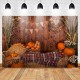 Fall Thanksgiving Backdrop Photography Video Background Pumpkins Studio Prop Fall Thanksgiving Backdrop Photography Video Background Pumpkins Studio Prop