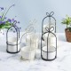Flower Shelf Rack Versatile Ceramic Vase Stand Metal Planter Iron Shelf for Cactus Flower Shelf Rack Versatile Ceramic Vase Stand Metal Planter Iron Shelf for Cactus