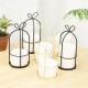 Flower Shelf Rack Versatile Ceramic Vase Stand Metal Planter Iron Shelf for Cactus Flower Shelf Rack Versatile Ceramic Vase Stand Metal Planter Iron Shelf for Cactus