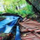 Forest Art Tapestry Wall Hanging Throw Bedspread Beach Towel Cloth Home Decor Forest Art Tapestry Wall Hanging Throw Bedspread Beach Towel Cloth Home Decor