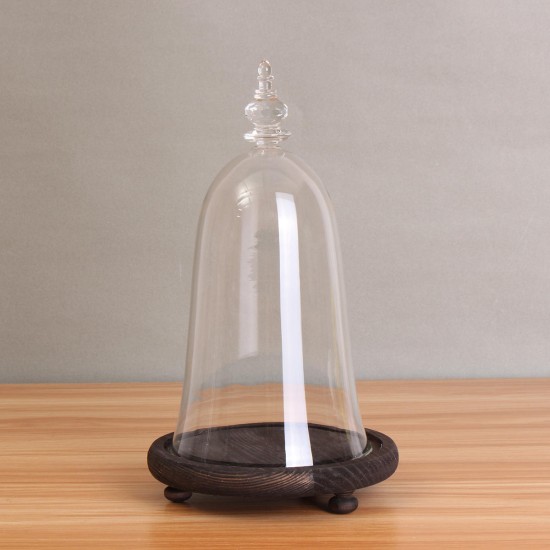 Glass Display Dome Cloche Box with Wooden Base Inspired By Beauty and the Beast Glass Display Dome Cloche Box with Wooden Base Inspired By Beauty and the Beast
