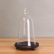 Glass Display Dome Cloche Box with Wooden Base Inspired By Beauty and the Beast Glass Display Dome Cloche Box with Wooden Base Inspired By Beauty and the Beast