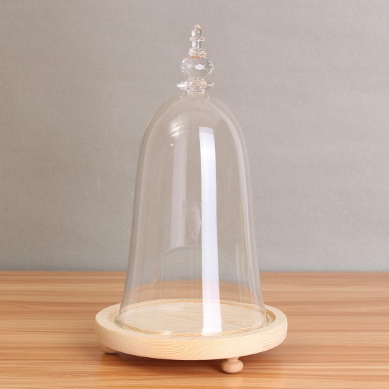 Glass Display Dome Cloche Box with Wooden Base Inspired By Beauty and the Beast Glass Display Dome Cloche Box with Wooden Base Inspired By Beauty and the Beast