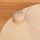 Glass Display Dome Cloche Box with Wooden Base Inspired By Beauty and the Beast Glass Display Dome Cloche Box with Wooden Base Inspired By Beauty and the Beast