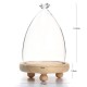 Glass Dome Clothe Display Storage Bell Jar Wooden Base Flower Preservation Vase