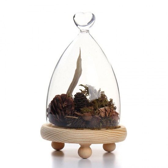 Glass Dome Clothe Display Storage Bell Jar Wooden Base Flower Preservation Vase