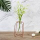 Glass Planter Test Tube Vase Pot + Retro Iron Stand Holder Plants Flowers Decoration Glass Planter Test Tube Vase Pot + Retro Iron Stand Holder Plants Flowers Decoration