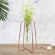 Glass Planter Test Tube Vase Pot + Retro Iron Stand Holder Plants Flowers Decoration Glass Planter Test Tube Vase Pot + Retro Iron Stand Holder Plants Flowers Decoration