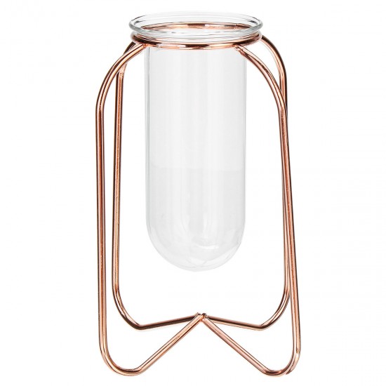 Glass Planter Test Tube Vase Pot + Retro Iron Stand Holder Plants Flowers Decoration Glass Planter Test Tube Vase Pot + Retro Iron Stand Holder Plants Flowers Decoration