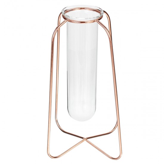 Glass Planter Test Tube Vase Pot + Retro Iron Stand Holder Plants Flowers Decoration Glass Planter Test Tube Vase Pot + Retro Iron Stand Holder Plants Flowers Decoration