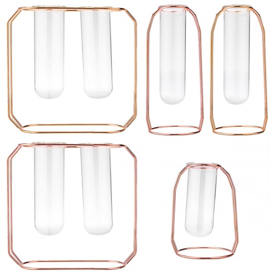 Glass Vase Flower Holder Plant Container Metal Line for Decorations Glass Vase Flower Holder Plant Container Metal Line for Decorations