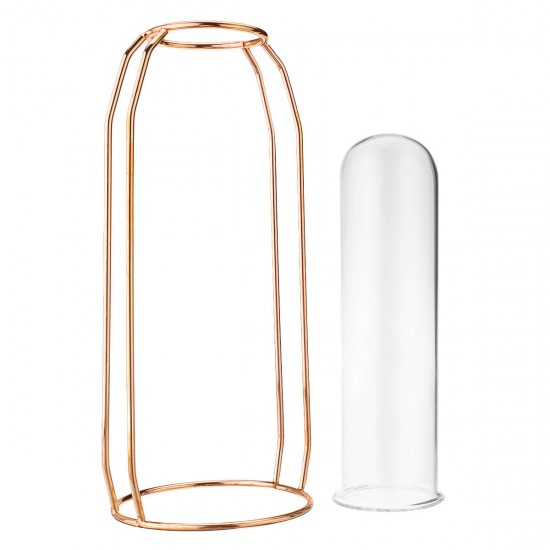 Glass Vase Flower Holder Plant Container Metal Line for Decorations Glass Vase Flower Holder Plant Container Metal Line for Decorations