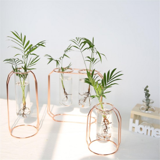 Glass Vase Flower Holder Plant Container Metal Line for Decorations Glass Vase Flower Holder Plant Container Metal Line for Decorations