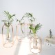 Glass Vase Flower Holder Plant Container Metal Line for Decorations Glass Vase Flower Holder Plant Container Metal Line for Decorations
