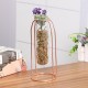 Glass Vase Flower Holder Plant Container Metal Line for Decorations Glass Vase Flower Holder Plant Container Metal Line for Decorations