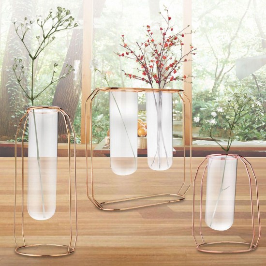 Glass Vase Flower Holder Plant Container Metal Line for Decorations Glass Vase Flower Holder Plant Container Metal Line for Decorations
