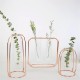 Glass Vase Flower Holder Plant Container Metal Line for Decorations