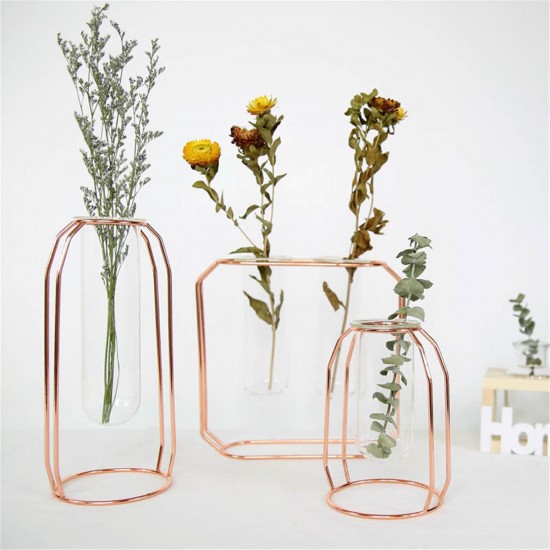 Glass Vase Flower Holder Plant Container Metal Line for Decorations Glass Vase Flower Holder Plant Container Metal Line for Decorations