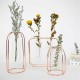 Glass Vase Flower Holder Plant Container Metal Line for Decorations Glass Vase Flower Holder Plant Container Metal Line for Decorations