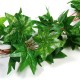 Green/Red Maple Leaf Artificial Vine Garland Foliage Plant Wedding Party Decor Green/Red Maple Leaf Artificial Vine Garland Foliage Plant Wedding Party Decor