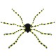 Halloween Carnival Spiders Horror Decoration Haunted House Spider Party Decoration Toys Halloween Carnival Spiders Horror Decoration Haunted House Spider Party Decoration Toys