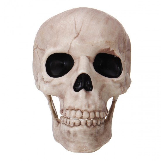 Halloween Scary Horror Skeleton Decorations Head Bones Skull Hand Outdoor Prop Party