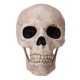 Halloween Scary Horror Skeleton Decorations Head Bones Skull Hand Outdoor Prop Party Halloween Scary Horror Skeleton Decorations Head Bones Skull Hand Outdoor Prop Party