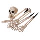 Halloween Scary Horror Skeleton Decorations Head Bones Skull Hand Outdoor Prop Party