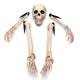 Halloween Scary Horror Skeleton Decorations Head Bones Skull Hand Outdoor Prop Party Halloween Scary Horror Skeleton Decorations Head Bones Skull Hand Outdoor Prop Party